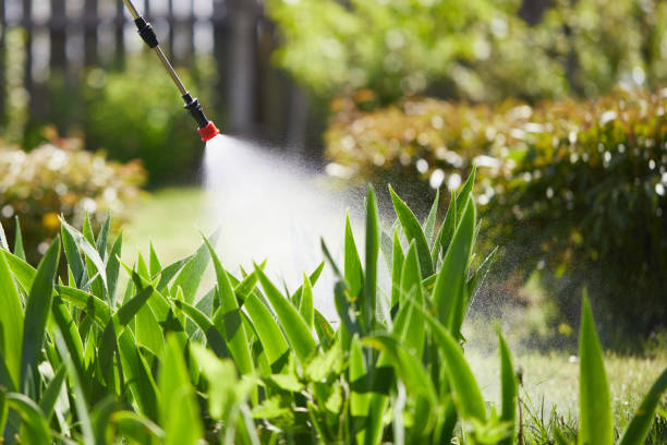 24/7 Emergency Wasp Removal experts in Prospect Heights, IL